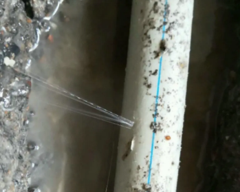 桐柏卫生间测漏水多少钱
