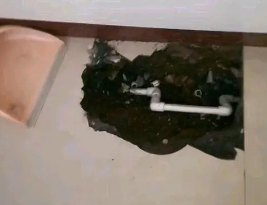 桐柏卫生间测漏水多少钱